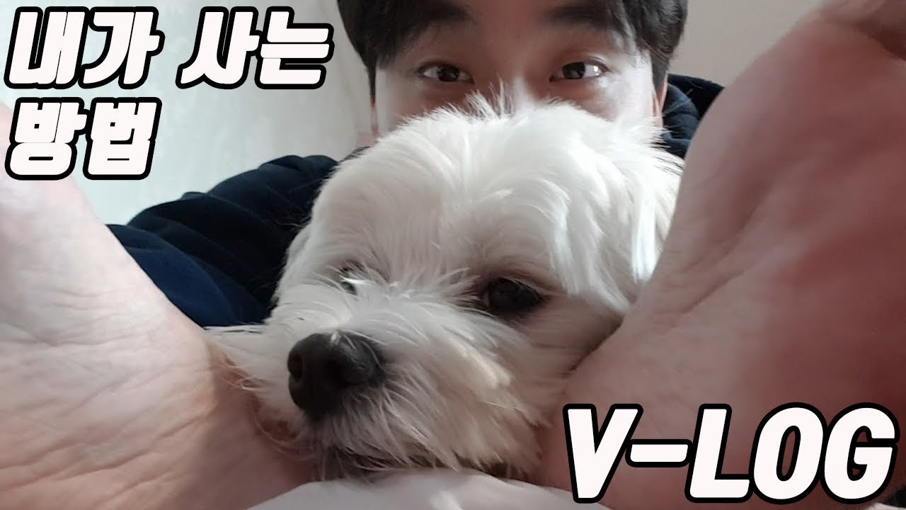휠체어 타고 사는 유니크한 삶