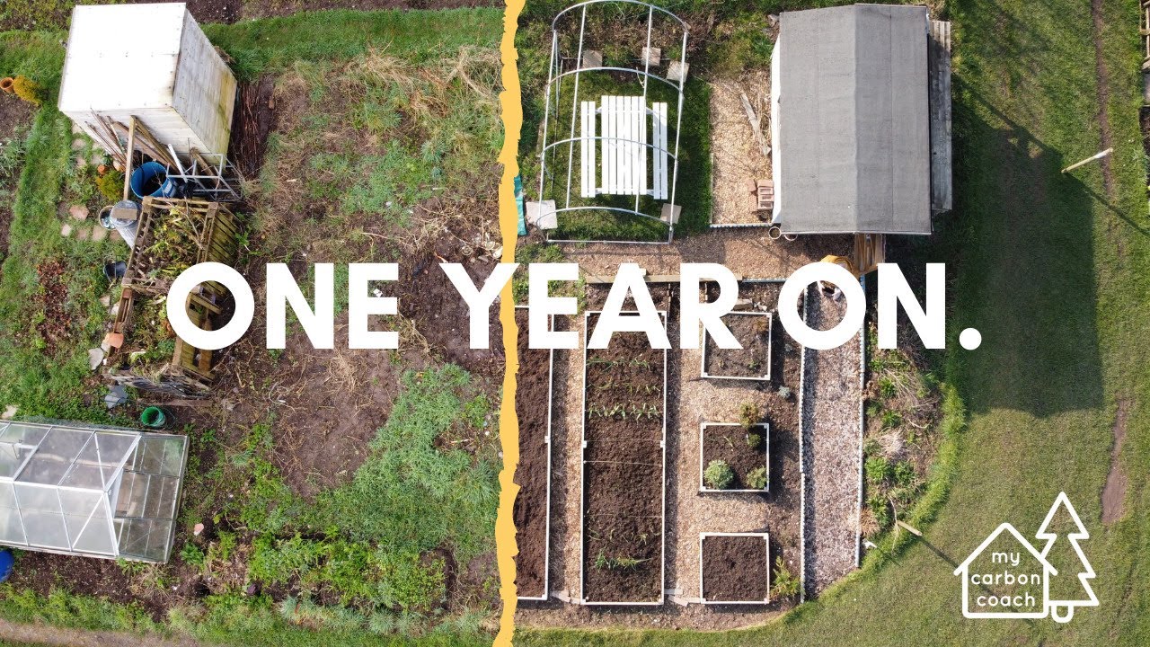 One year on - where it began and how it is going today!