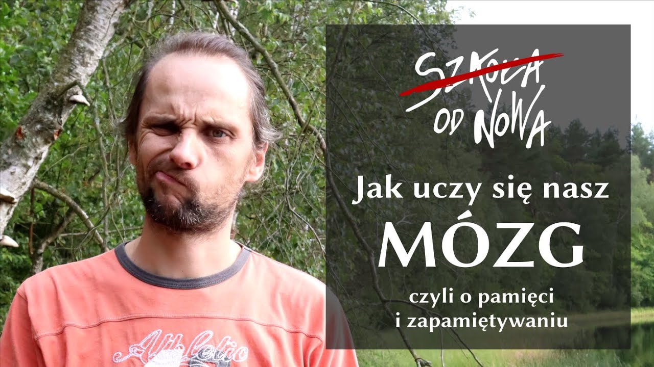 Jak uczy się nasz mózg?  Pamięć i uczenie się.