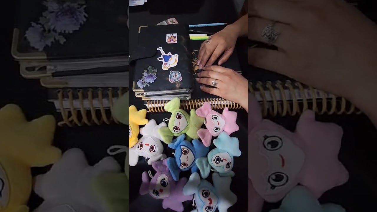 Mi primer video