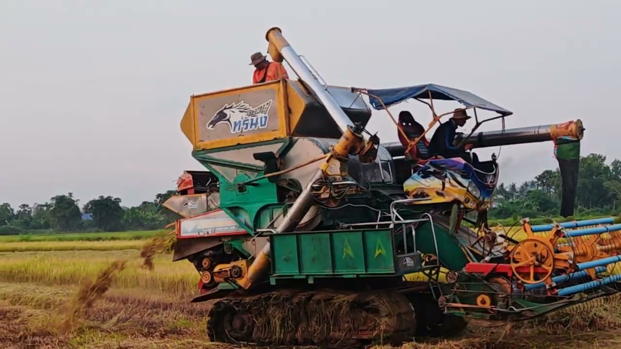 Amazing Rice Harvesting Machine in Action 🚜🌾 | Satisfying Farming Process #100