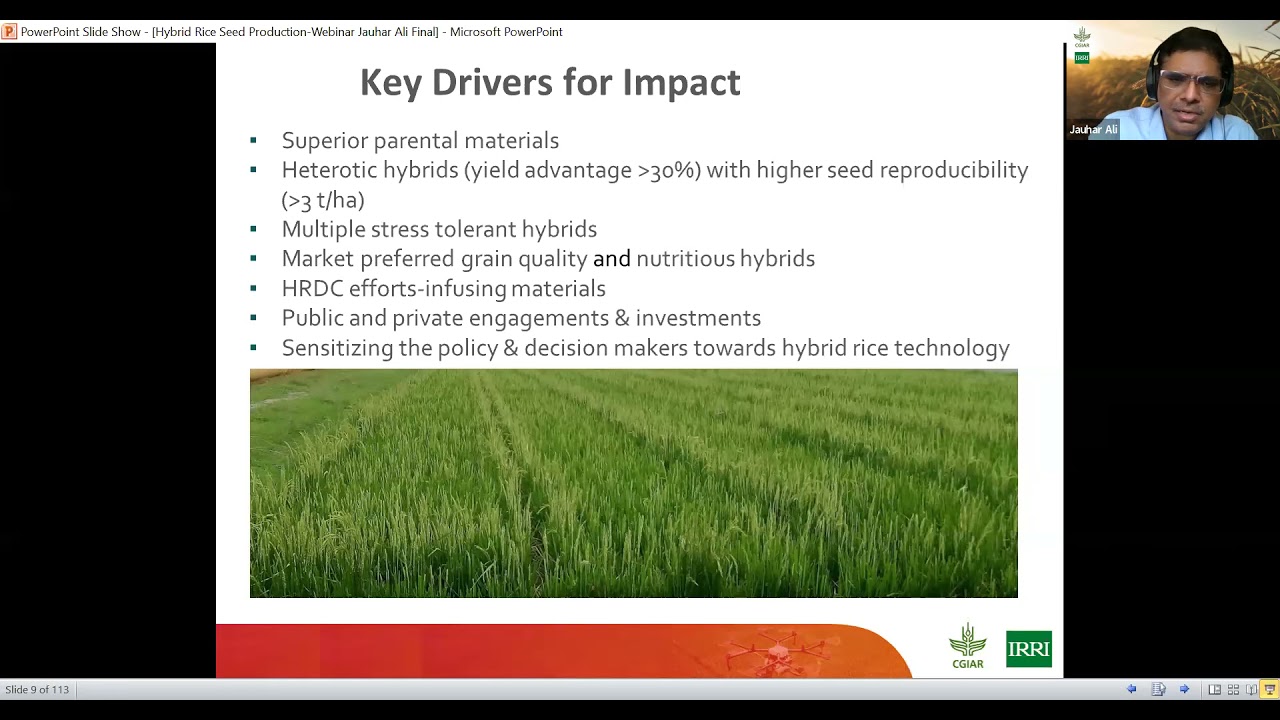 Hybrid Rice Seed Production Webinar