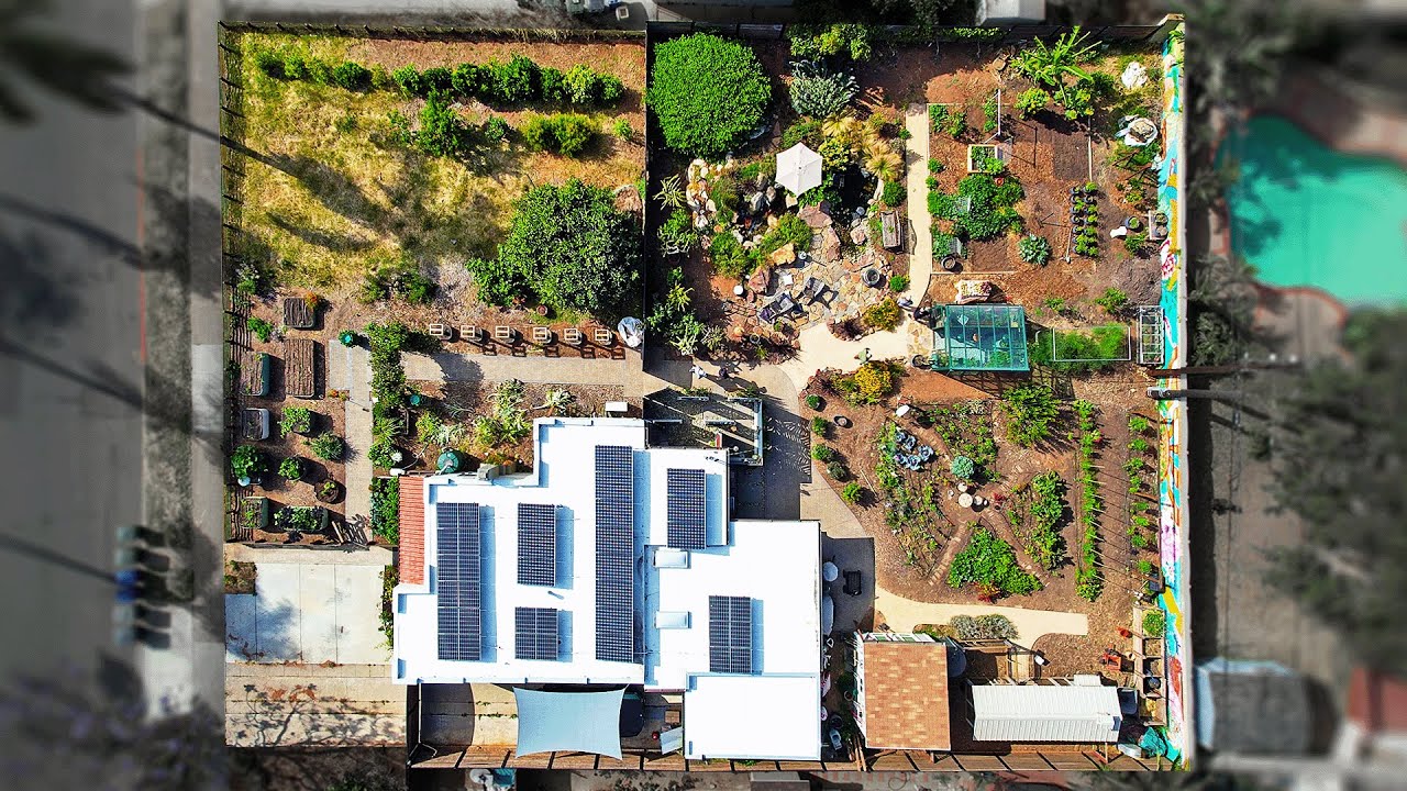 1/3 Acre Urban Homestead Tour After 4 Years 🏡