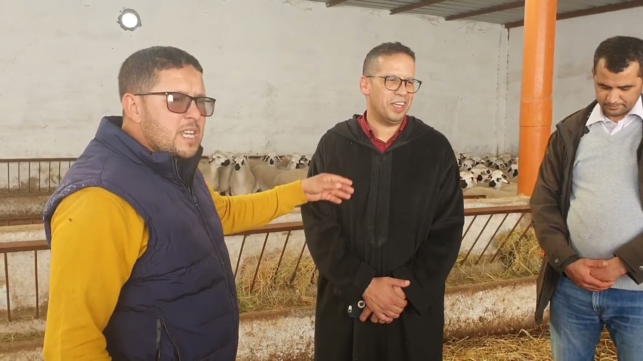 يوم تاريخي عند طهيرة فريد المزابي