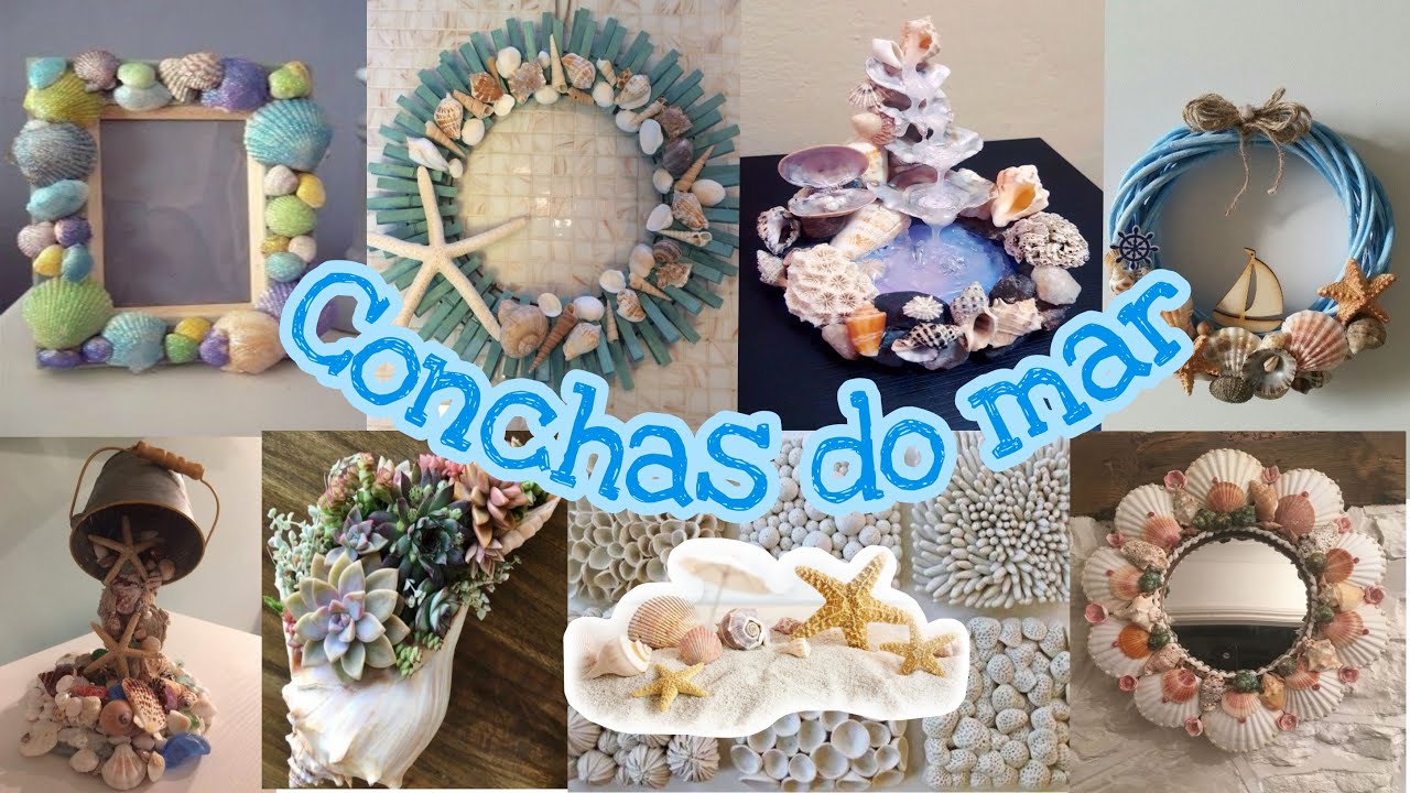 CONCHAS DO MAR - 50 Ideias incríveis | SEASHELLS 🐚🦪🏖️🌊