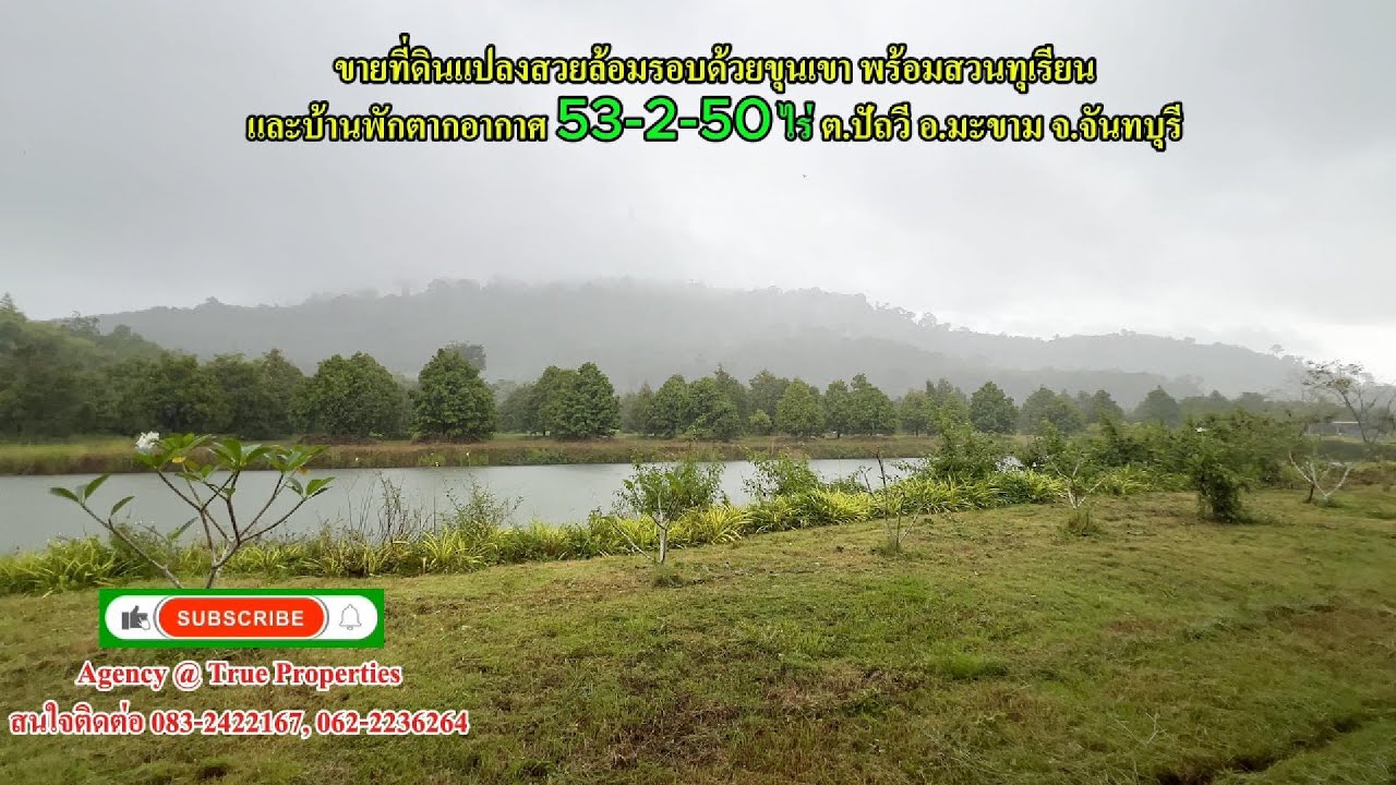 ขายที่ดินสวนทุเรียน 53-2-50 ไร่ พร้อมบ้านพักตากอากาศ  ต.ปัถวี อ.มะขาม จ.จันทบุรี
