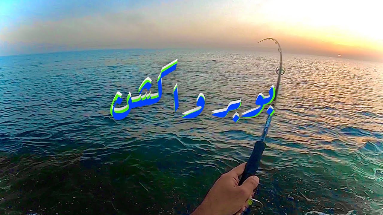 بوبر وأكشن  - popper and action - المنتب