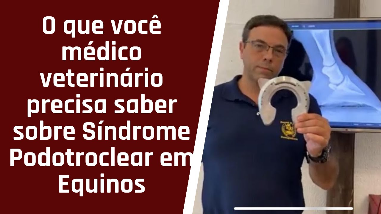 O que você médico veterinário precisa saber sobre Sindrome Podotroclear