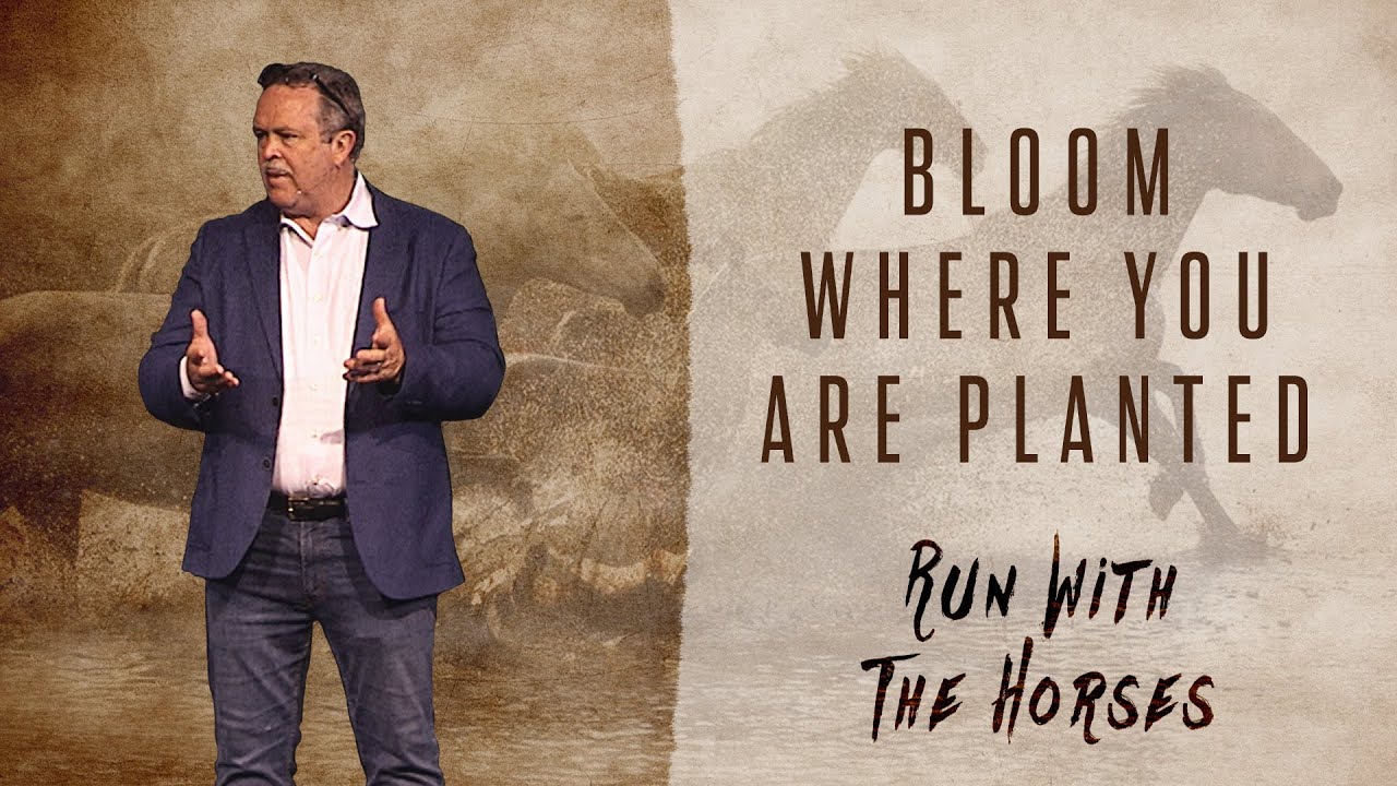 Bloom Where You Are Planted