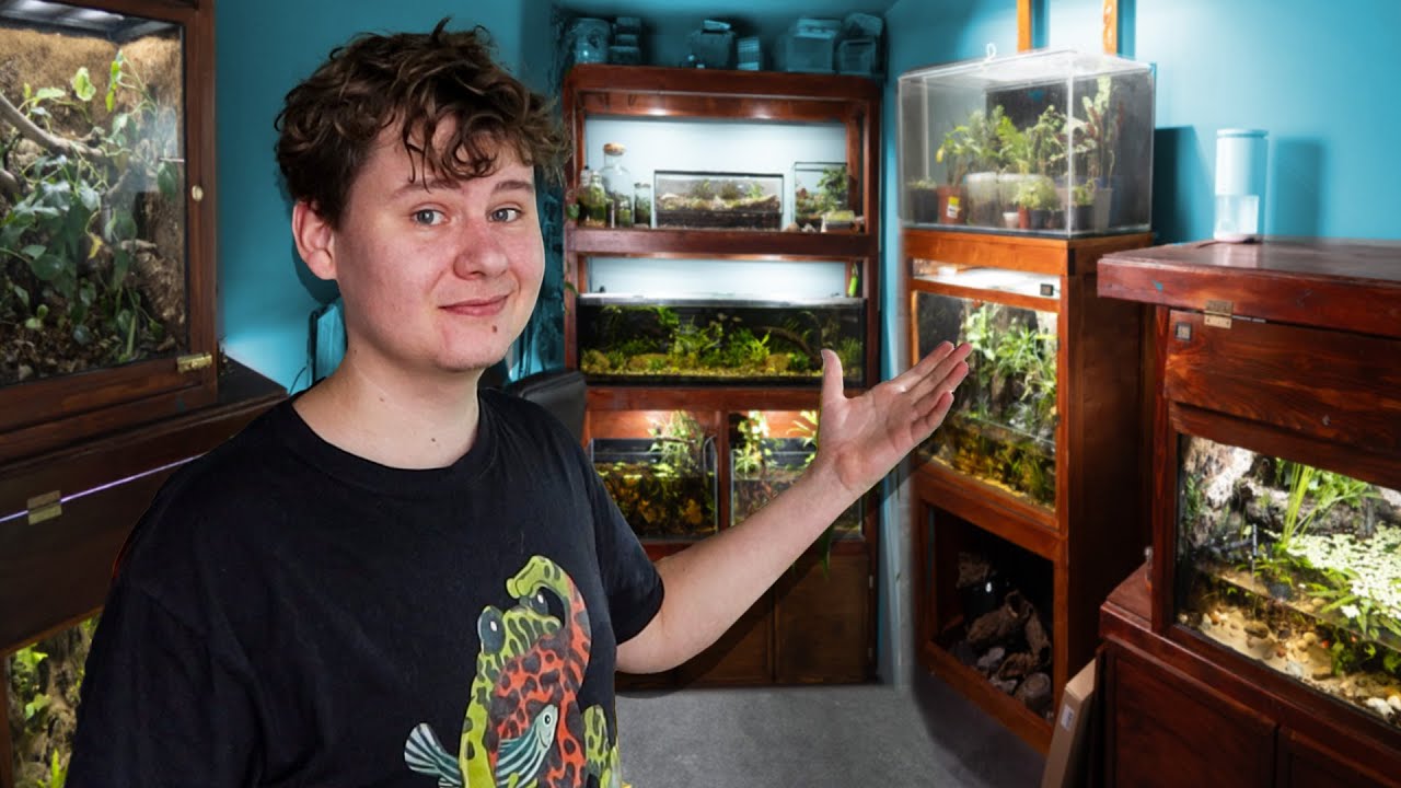 Complete Tour of The Animal Room 2024