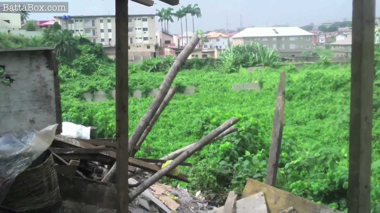 Nigeria: 'Monkey Village' hidden in Ikeja, Lagos
