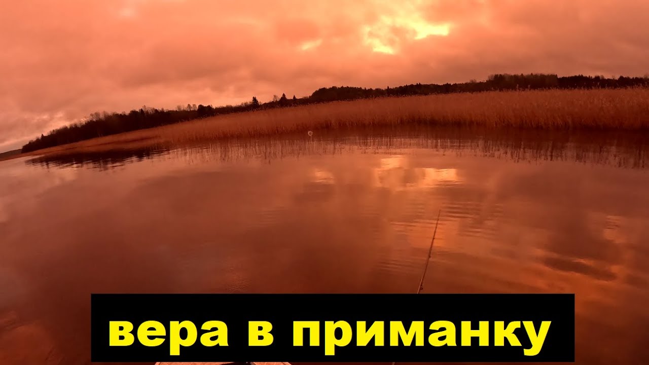 Вера в приманку.