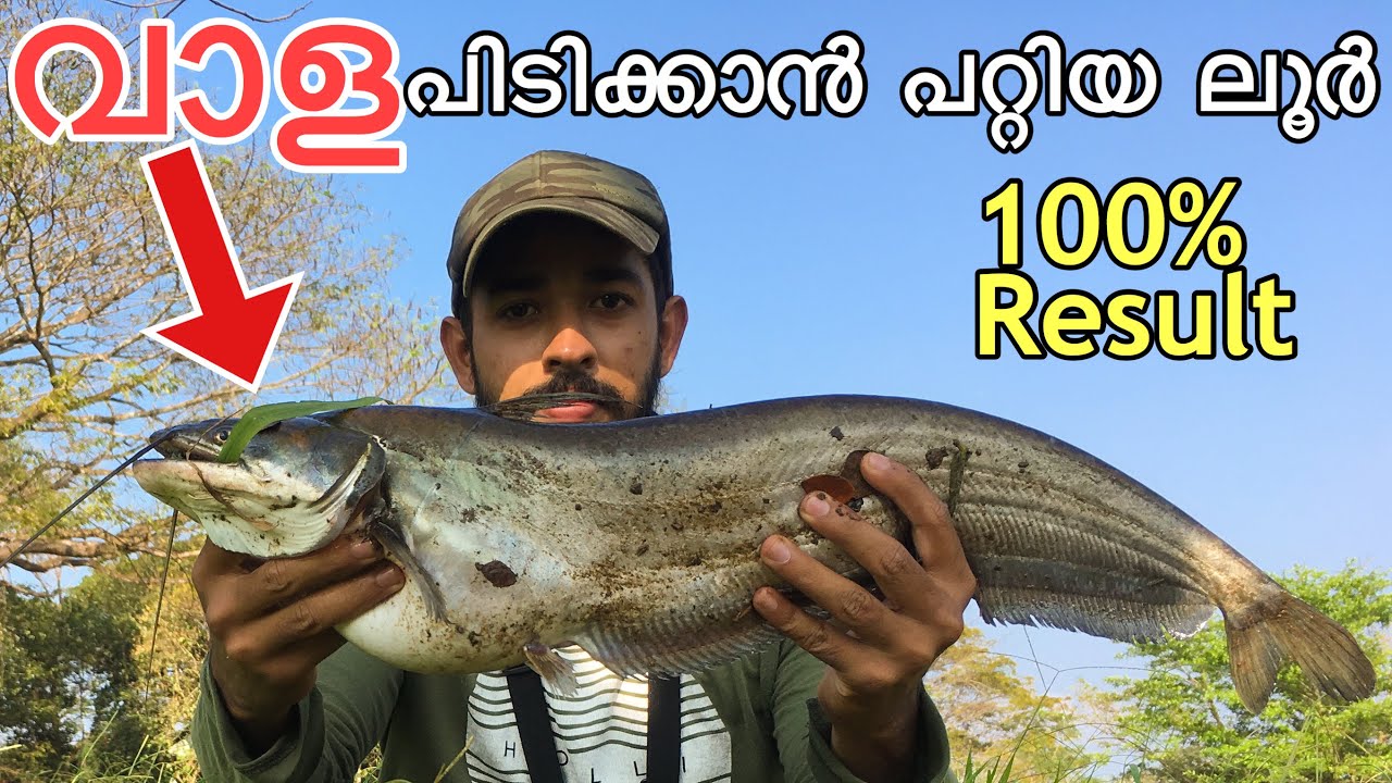 വാള പിടിക്കാൻ പറ്റിയ ലൂർ- wallago attu fishing kerala