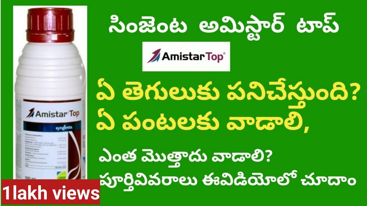 amistar top syngenta fungicide full details in telugu | BB agriculture telugu