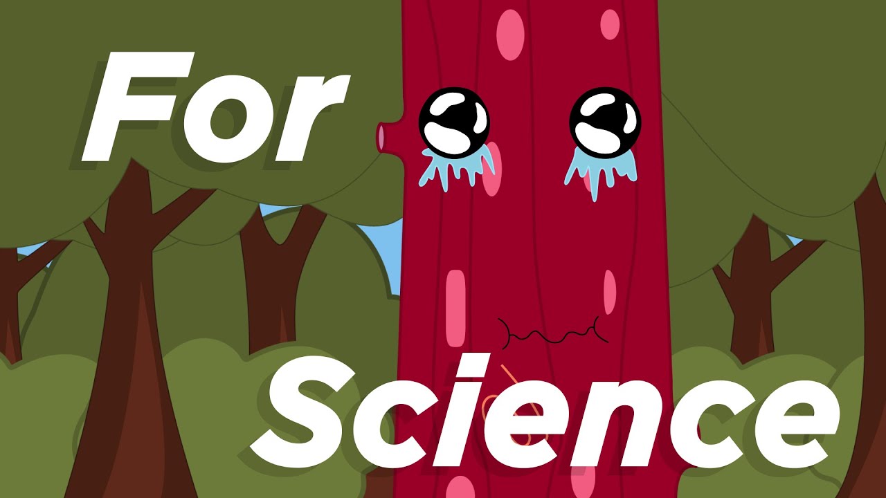 For Science (The Trees) - Be Cool Animation Cartoon