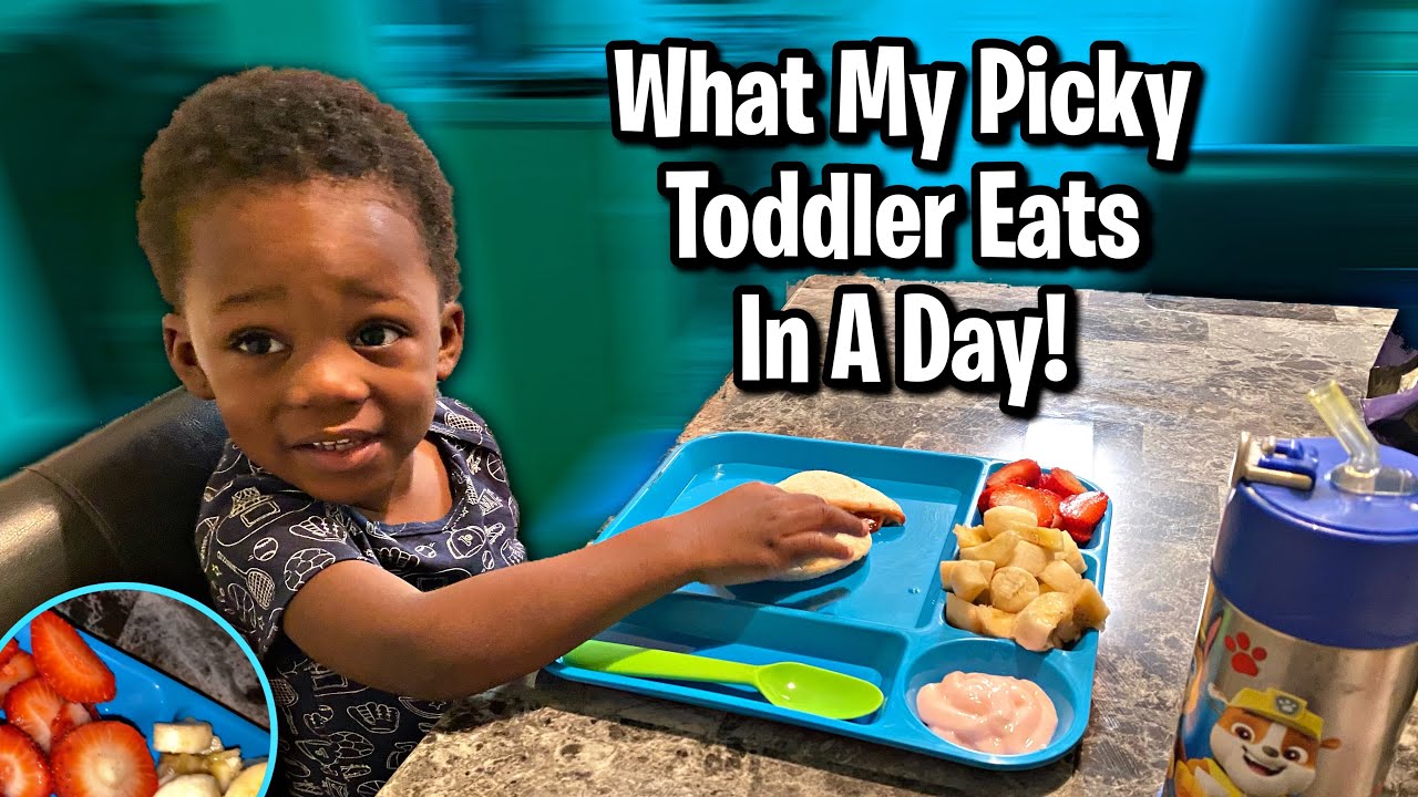 What My Toddler Eats In A Day! (Picky 2 Year Old)
