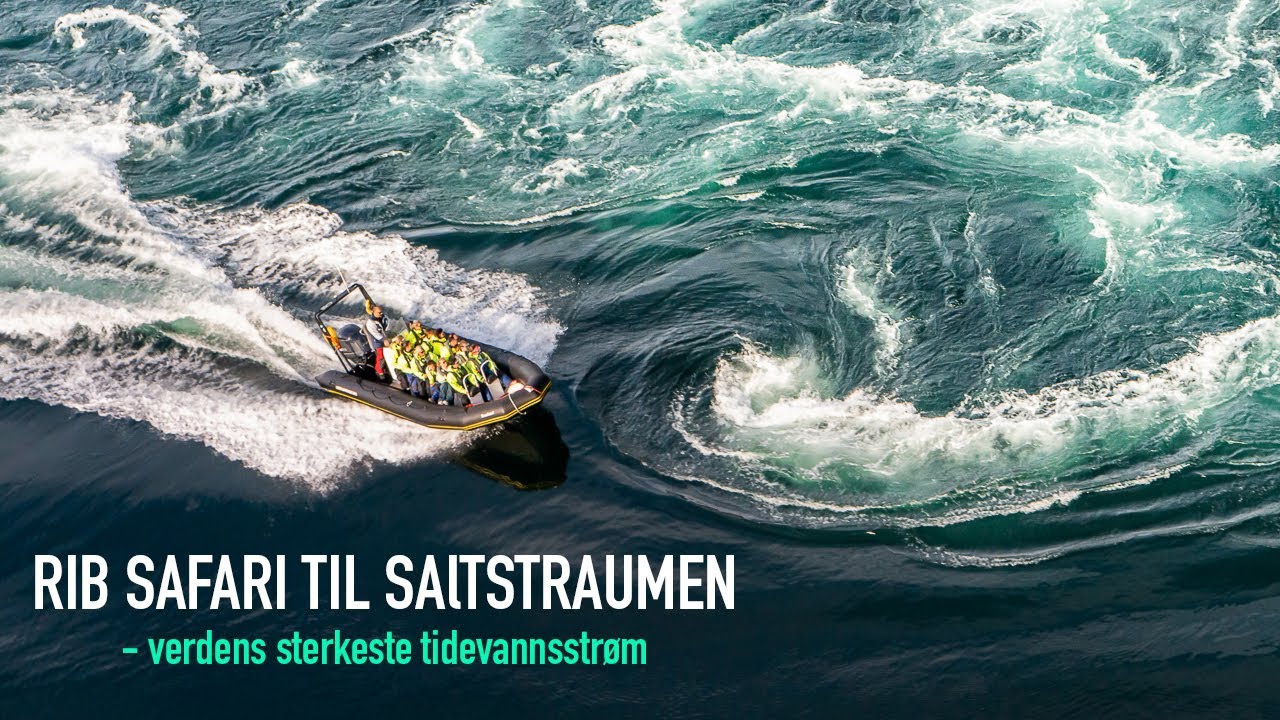 RIB SAFARI TIL SALTSTRAUMEN - verdens sterkeste tidevannsstr&oslash;m