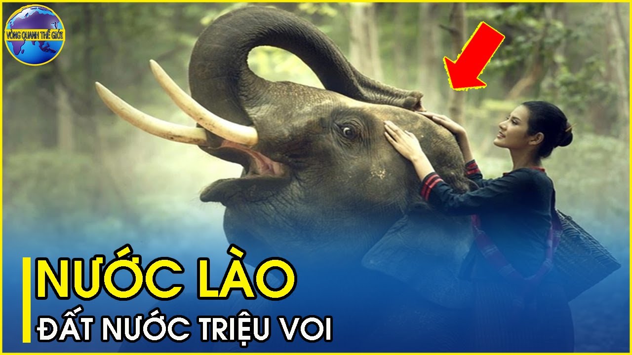 Sự thật lạ lùng về đất nước Lào | Quốc gia triệu voi vẫy chào những đôi chân xê dịch