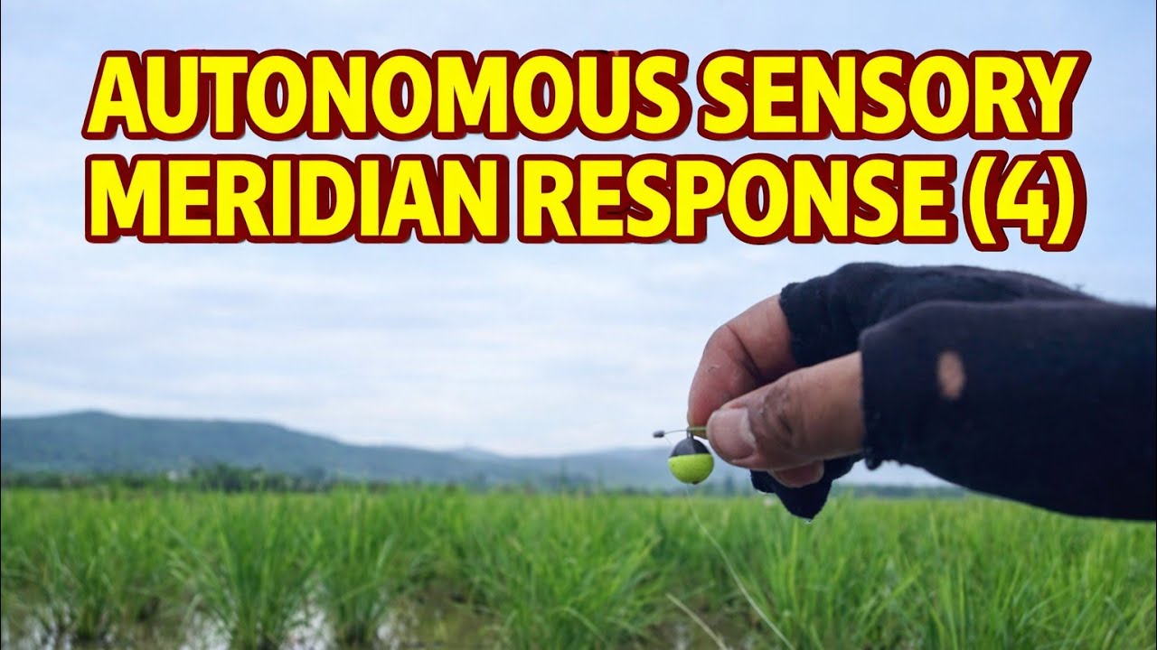 Autonomous Sensory Meridian Response (4)‼️Mancing di Rawa Pening