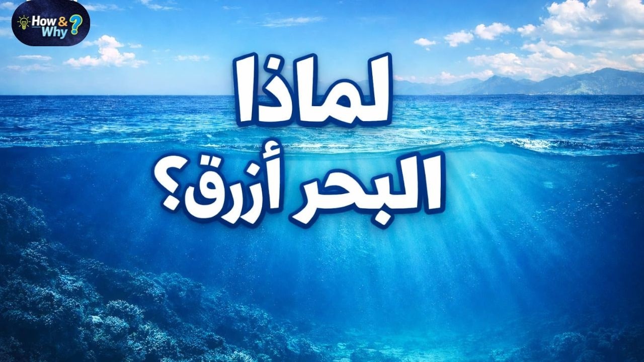 لماذا البحر أزرق؟ باختصار 🌊