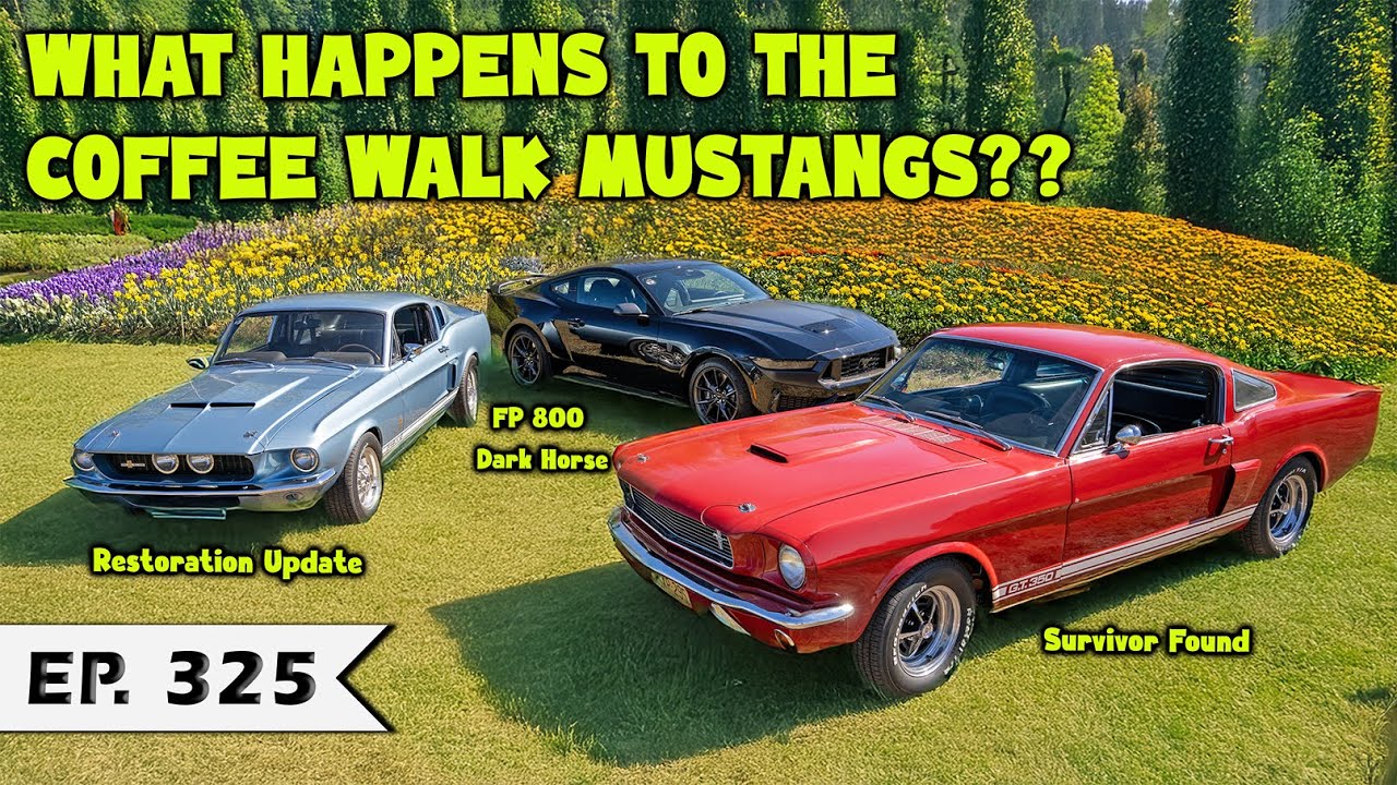 What Happens to the Coffee Walk Mustangs??