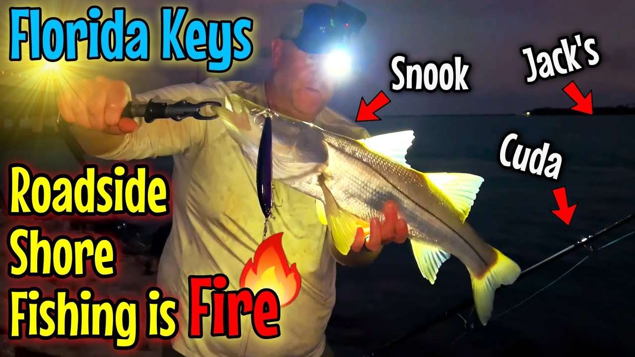 Florida Keys Roadside Shore Fishing Islamorada is FIRE! Crazy FUN!!