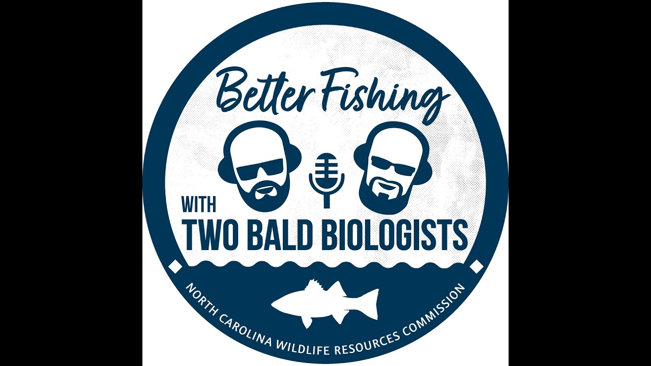 Striped Bass Management and Partnerships