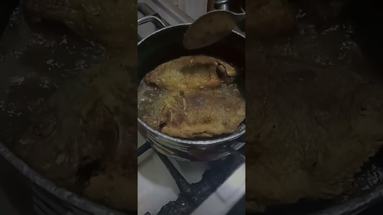 ١٥ فبراير ٢٠٢٦