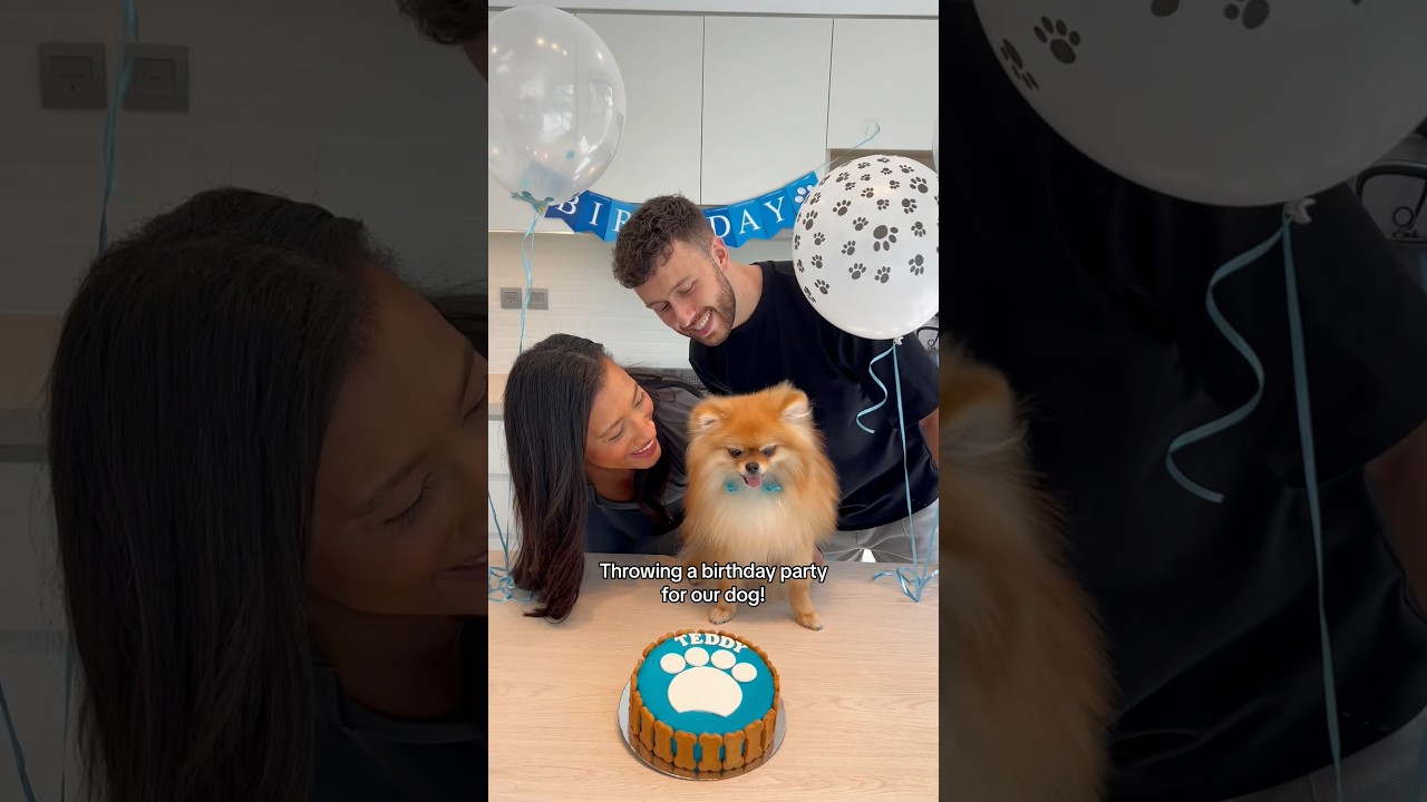 Throwing a puppy party for our dogs birthday! #pomeranian #puppy #dog #couple #couplegoals #family