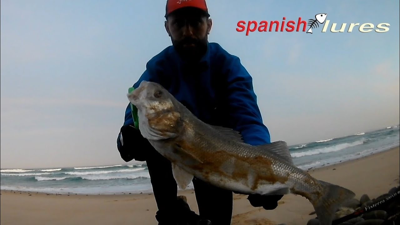 Robalos ao Spinning Dezembro 2023🌲🎅🖤Spanish Lures Portugal🖤❤