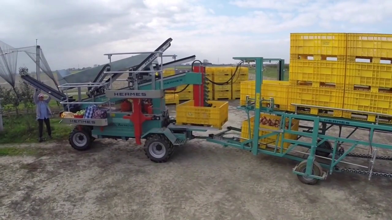 FRUMACO TECNOFRUIT Series / CF 105 / CF110 / FRUMACO Pluk-O-Trak