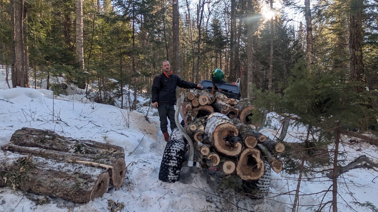 Loading and transporting maple wood using four-wheeler Honda Foreman 520