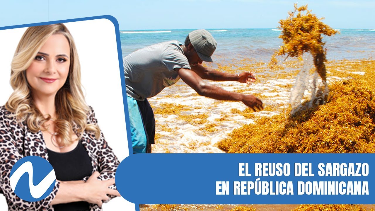 El reuso del sargazo en República Dominicana | Nuria Piera