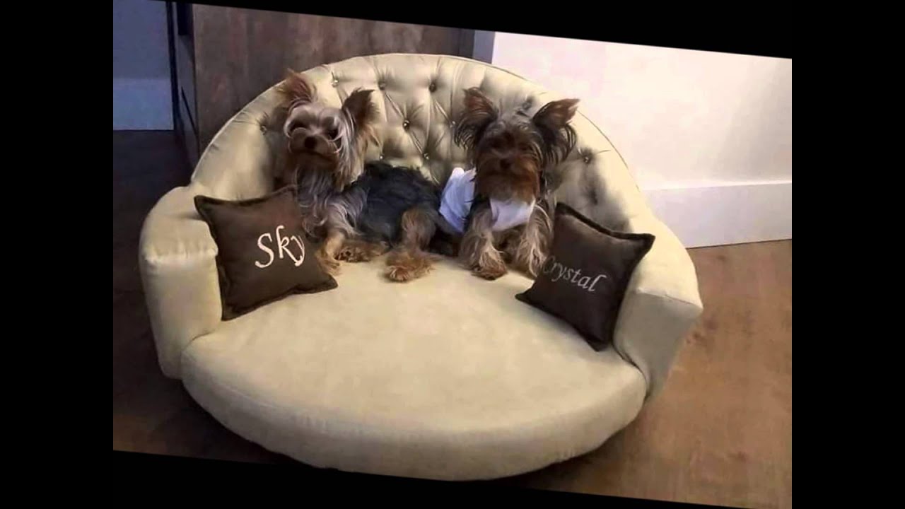 Sof&aacute; para cachorro