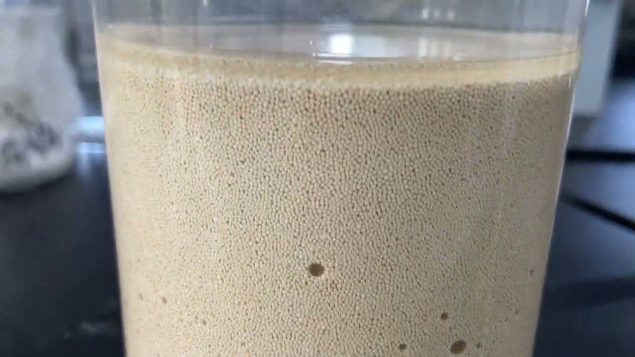 Plant Extract Resin