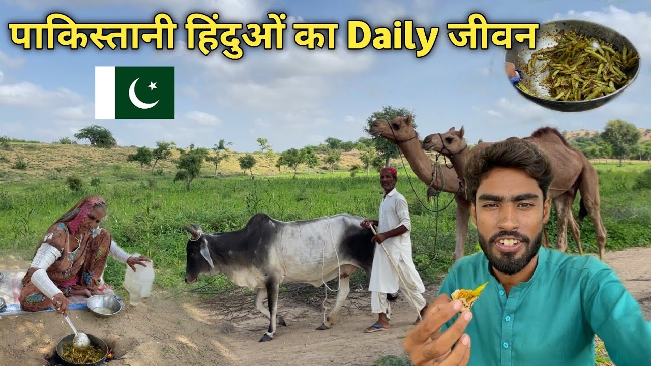 Daily Life Of Pakistani Hindus || Life In Village Pakistan || Cooking In Khet ||Gyan Teekmani 