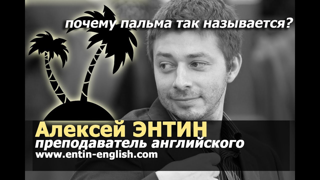 Entin-English: Почему пальма так называется?