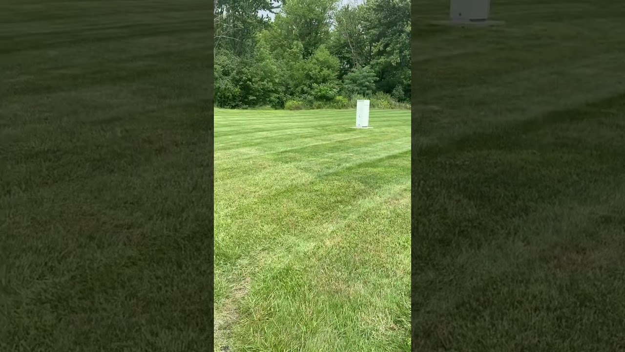 Lining up tall grass at the bank #gravely #mowing #like #subscribe #comment #satisfying #nature