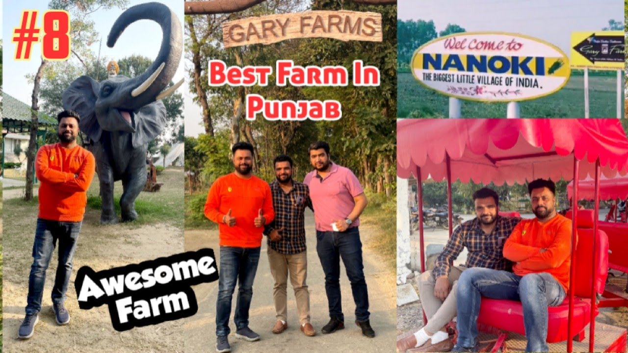 Gary Farm Nanoki Patiala | Best Farm in punjab Gary farms nanoki | best green farm in punjab