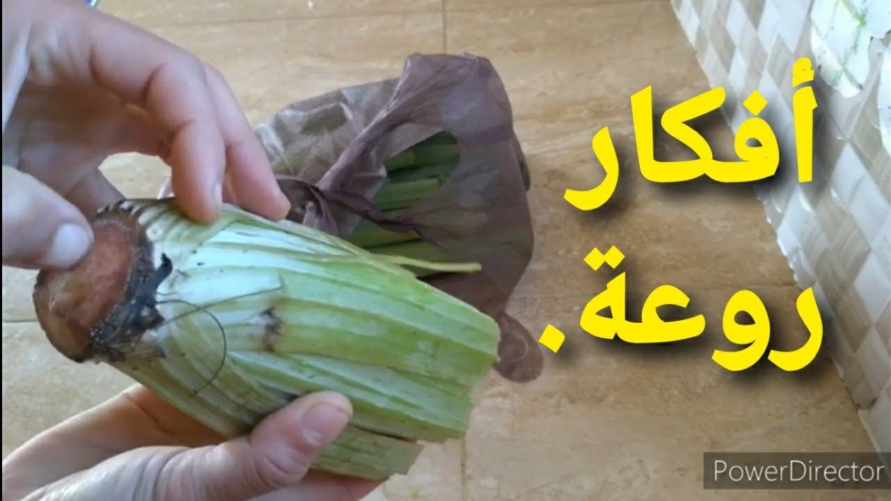 أسرار نوريها ليك باش معمرك تشمتي وتجيبي الخضر مشي طرية من السوق/كوني محترفة ومتخليش الخضار يديرها بك