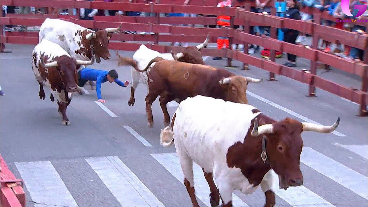 Primer encierro de toros de las Ferias y Fiestas de Guadalajara 2023
