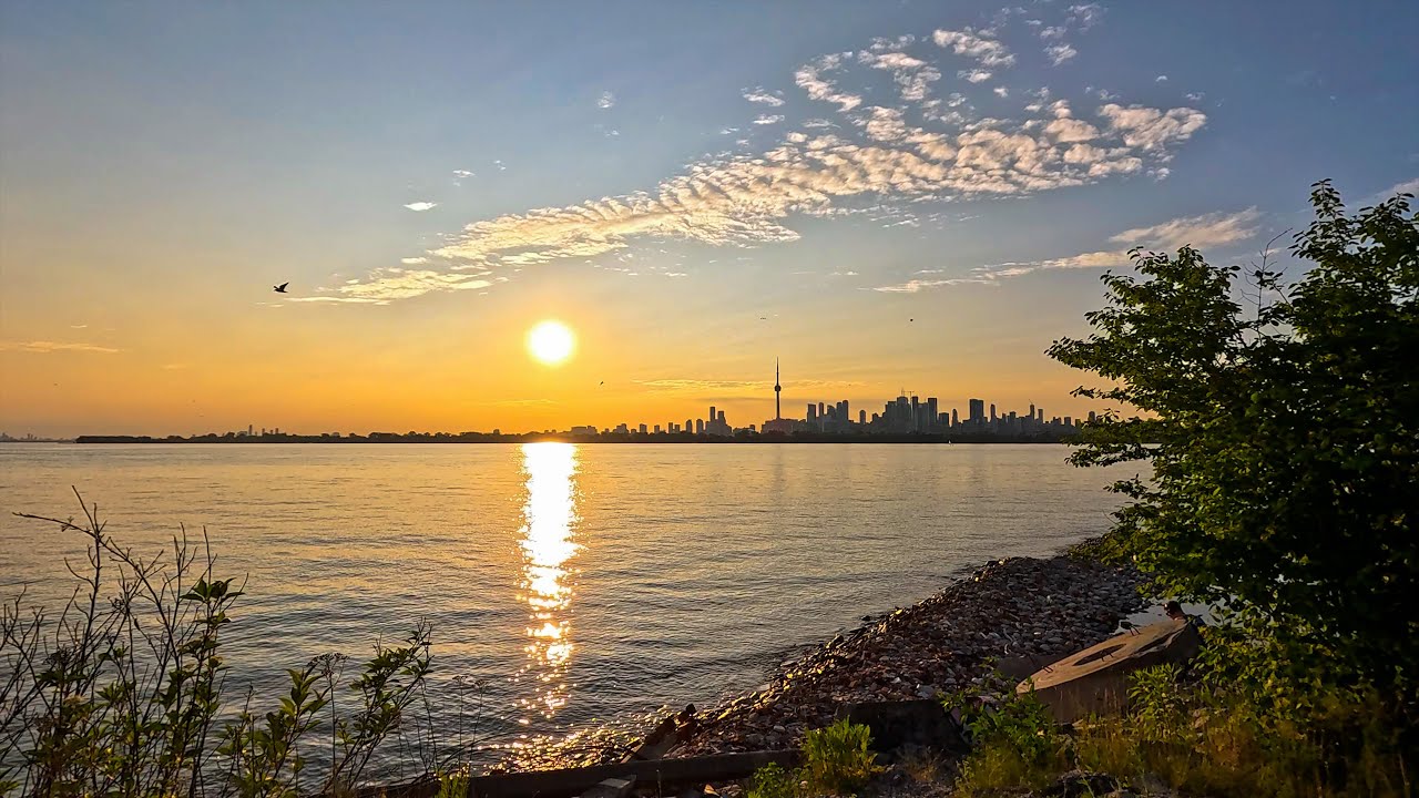 Toronto Skyline Sunset 4K at Tommy Thompson Park | Summer Nature POV