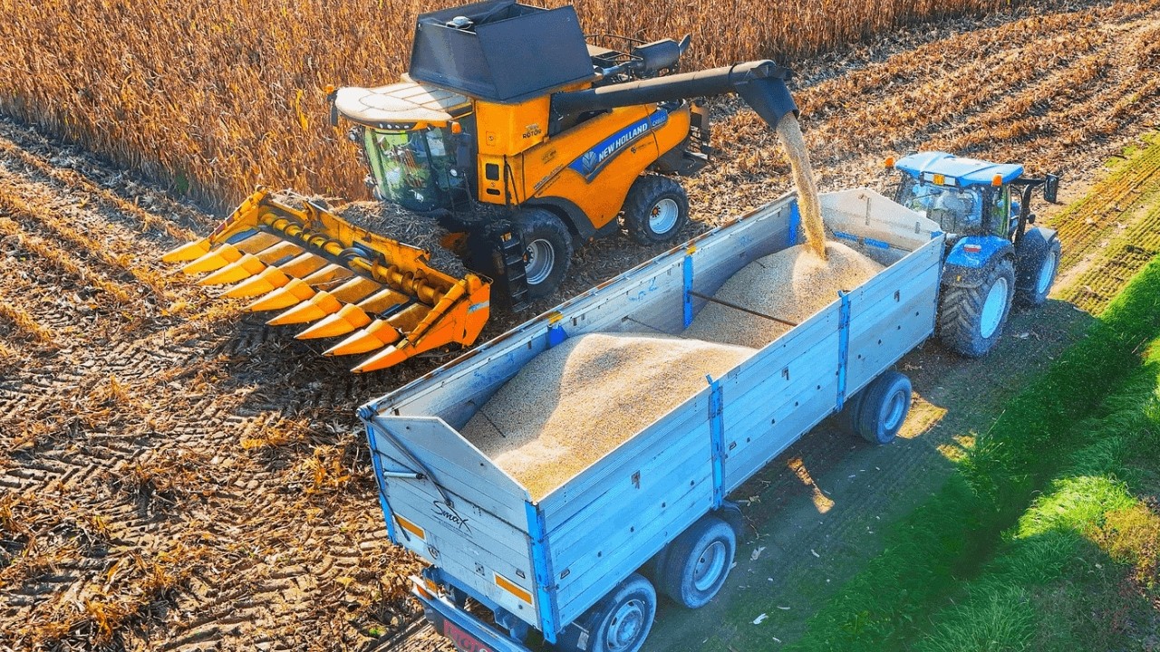 KUKURYDZA NA ZIARNO 2024 NEW HOLLAND CR REVELATION Kombajn zbożowy