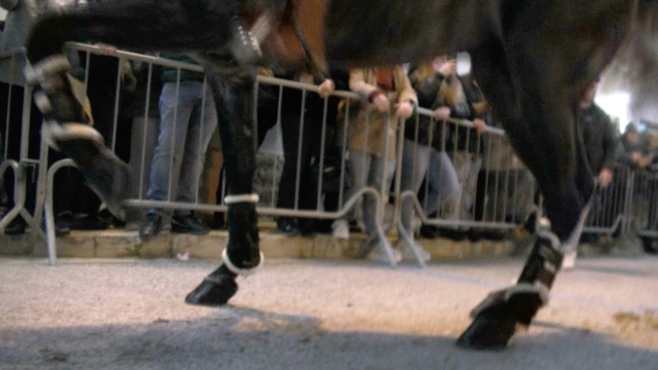 SCICLI-"CAVALLI MONITORATI PER TUTTA LA FESTA"
