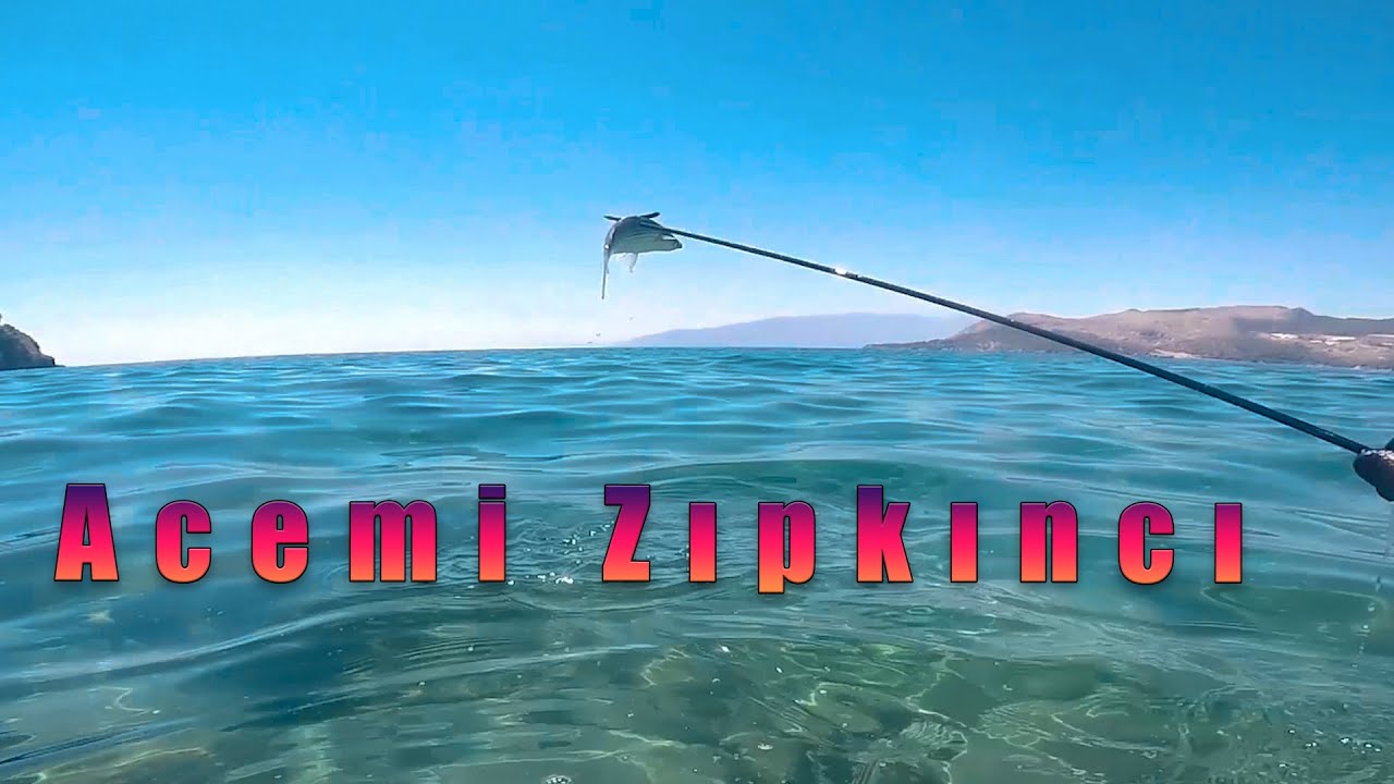 Derine Dalmadan Sığ Su Zıpkın Avı ( Acemi Zıpkıncı)