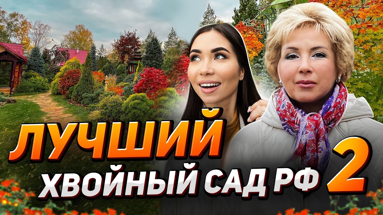 🌲Как Татьяна Воловик содержит 600 сортов на 1 участке?
