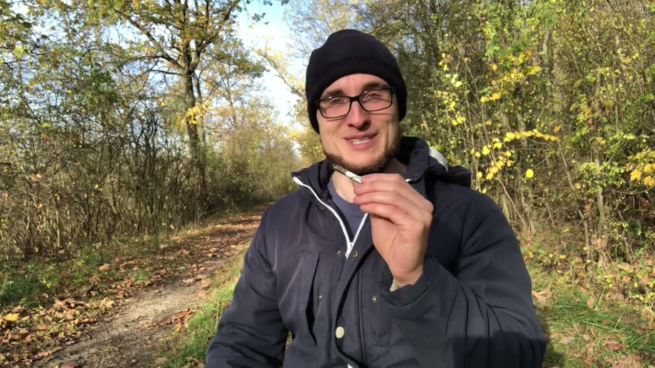 Hulk Berry Sorten Test