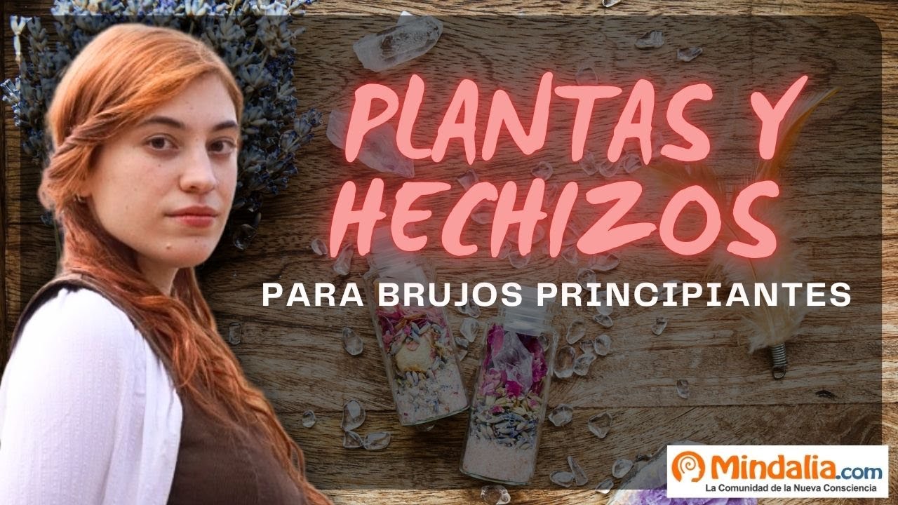 Cómo iniciarse en la brujería con plantas mágicas. Guía de Alanna