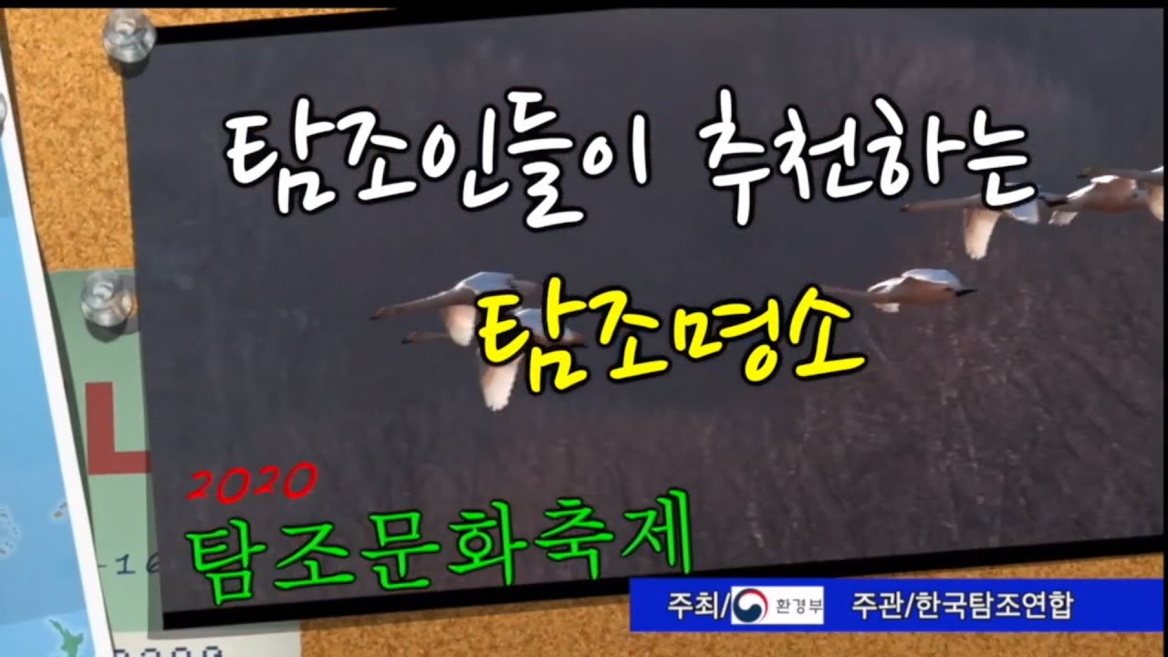2020 온라인 탐조문화축제_4편 탐조인들이 추천하는 탐조명소 최종new