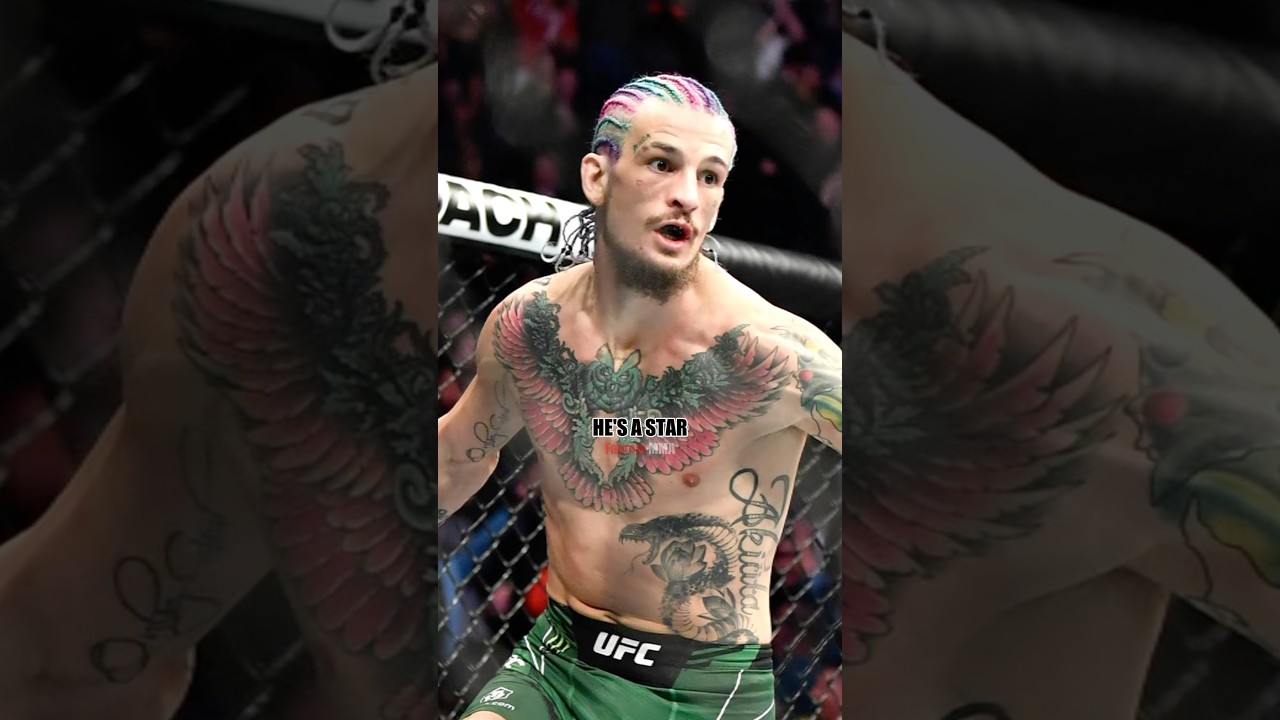 Why Sean O&rsquo;Malley Is The Most Well-Rounded Fighter